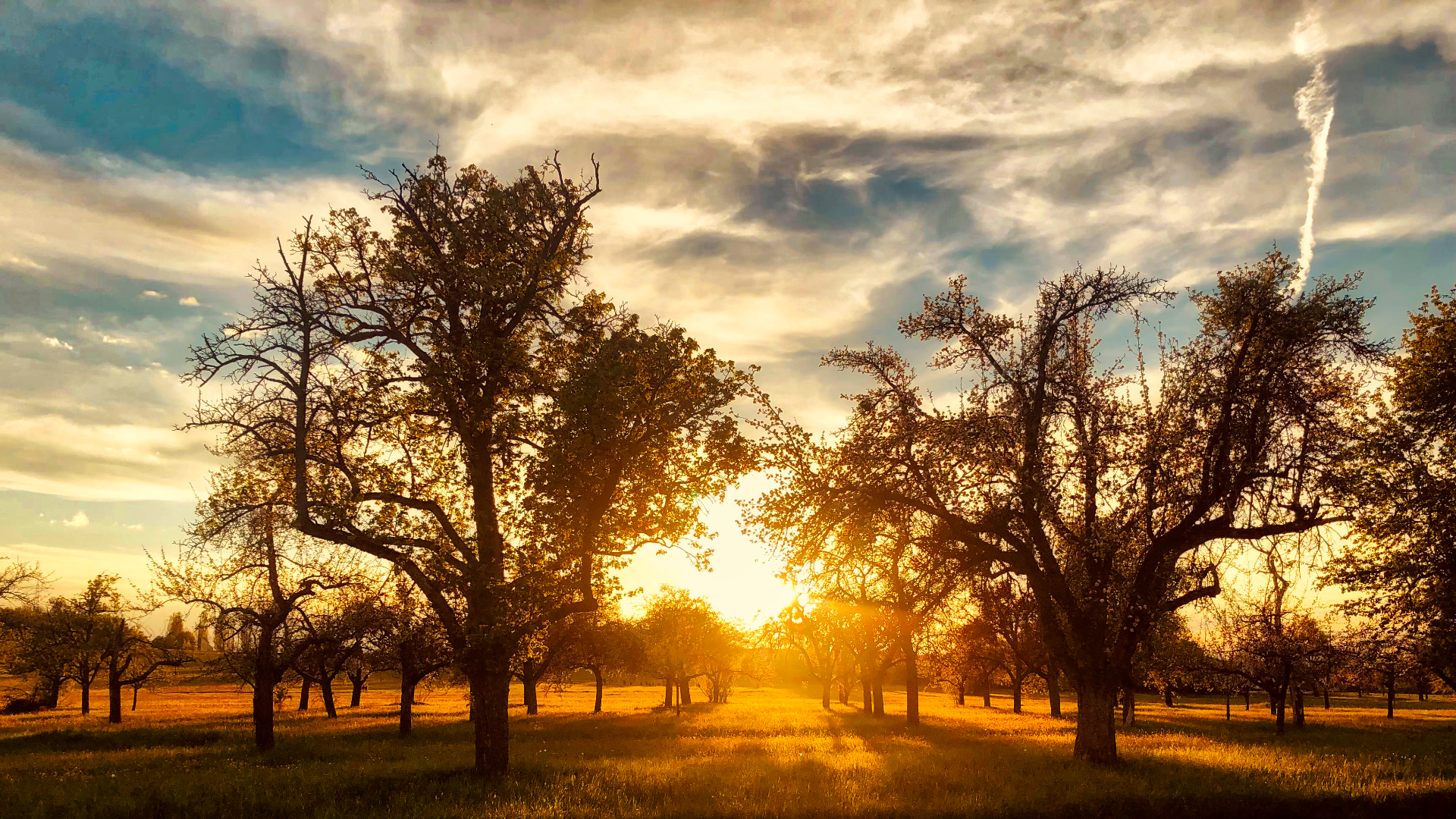 Sonnenuntergang_Echterdingen