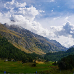 Schweizer Alpen